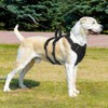 FEimaX Dog Harness No Pull Soft Padded Dog Vest with