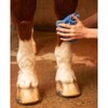 Premier Equine Microfibre Grooming Mitt 6058, peacock, 'One Size'