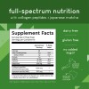 360 Nutrition Colageno Matcha 8oz Polvo
