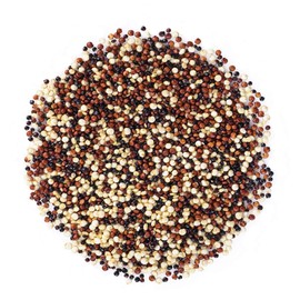 Food to Live Organic Tri-Color Quinoa, 20 Pounds — Non-GMO, Blend of White, Black, and Red Quinoa, Whole Grain, Raw Seeds, Non-Irradiated, Kosher, Vegan, Sproutable, Sirtfood, Bulk, Rice Replacement.
