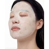 AKIMIA Egyptian Mint Micro Current Face Mask, PRO Series Electro