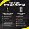 Ascent Clean Creatine Monohydrate Powder - 5G Per Serving, Creapure