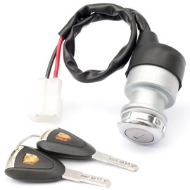 Esttlamer Ignition Starter Switch Assembly Replacement for ICON/for Edison/for Advanced EV 48V Electric Golf Cart, with Unique 2 Keys Switch and 2 Pin Plug