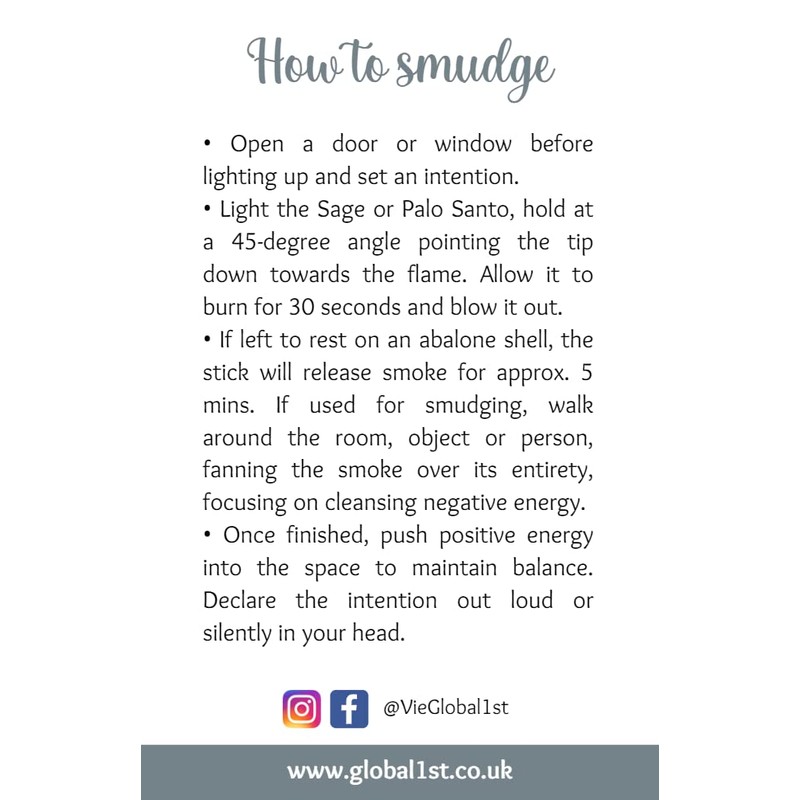 Triflower Sinuata Sage 4"