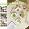 TAMAYKIM 12 Pieces 7 Inch Porcelain Dessert Plates, Wavy Rim