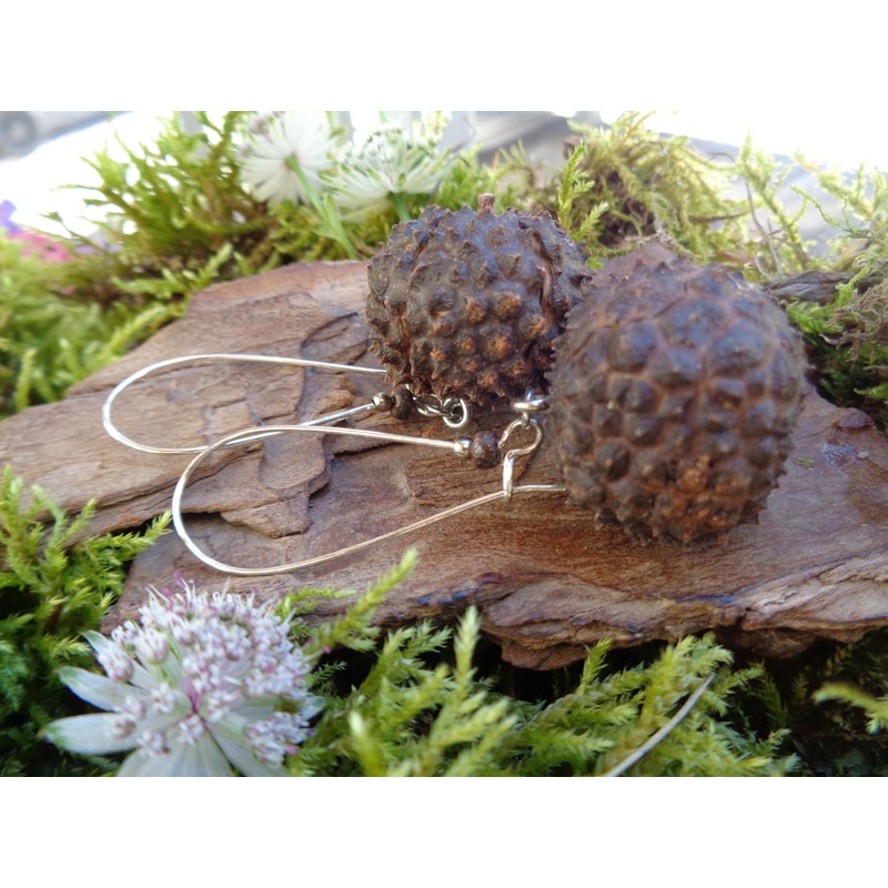 ⊱✿ EXOTISCHE BAUMNUSS OHRRINGE IN DUNKELBRAUN✿⊰⊹ lange Kidney - Haken