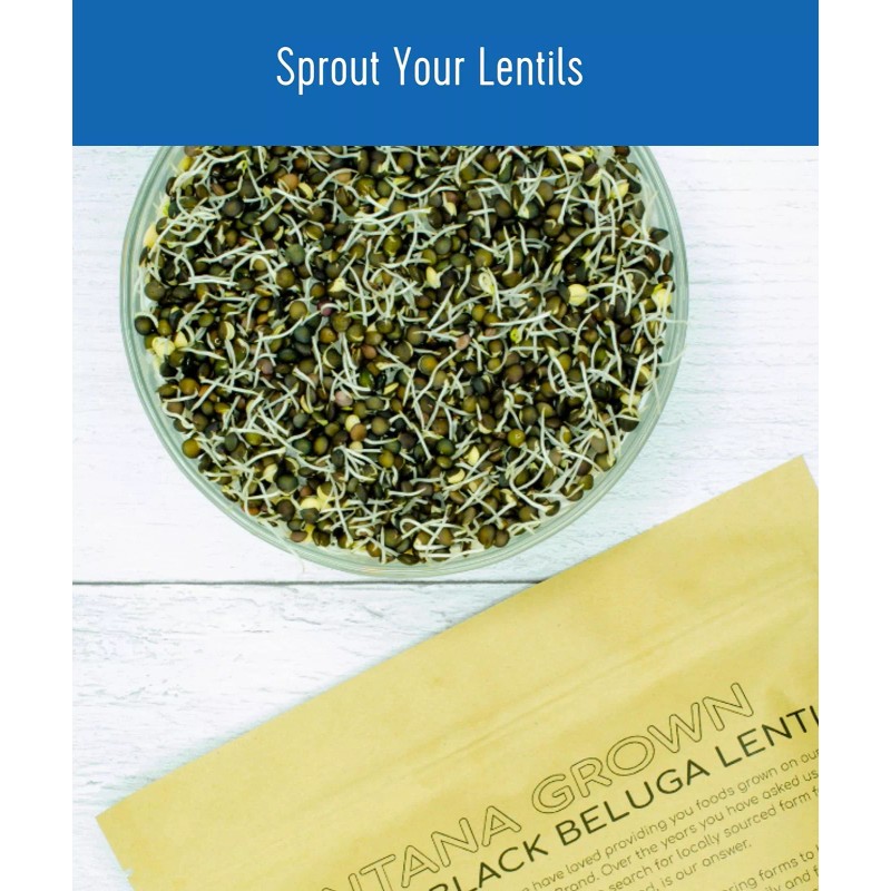 Clear Creek Black Beluga Lentils, Dry, 18 LBS