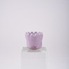 Zans Tulip Zans Gua Sha / 잔스 튤립잔스 괄사