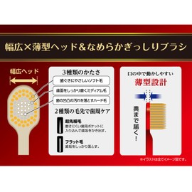 The Premium Care 8 Row Regular Regular