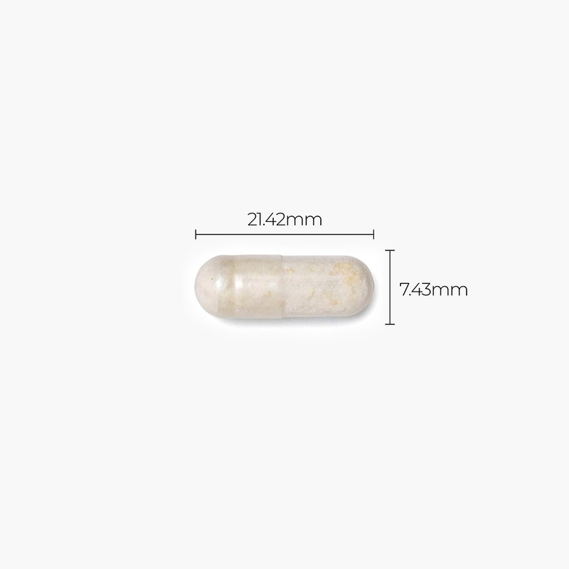 Phytotix Yellow Probiotics 500mg, 30 Tablets, 1 Piece