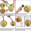 2 Pack Coconut Opener Tool Set with 4 Reusable Straws