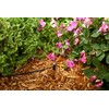 Rain Bird MBH4PKS Drip Irrigation Micro-Bubbler on Stake, 180° Half