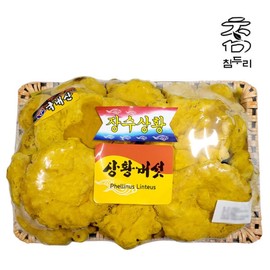 500g chamduri saenghwang mushrooms / 참두리 상황버섯 500g