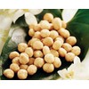 Mauna Loa Macadamia Nut 24 sachet pack Best two sets