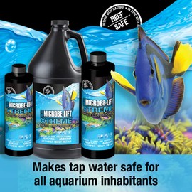 MICROBE-LIFT XTA64 Xtreme Water Conditioner Treatment for Aquariums and Fish Tanks, 64 Ounces