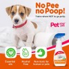 PET YOUR PET No Pee No Poop Dog Potty Training