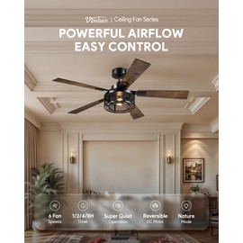 VONLUCE Ceiling Fans with Lights, 52 Inch Ceiling Fan and Remote, 6-Speeds Noiseless Reversible DC Motor, Cage Ceiling Fan for Bedroom Living Room Farmhouse, Black