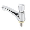 Time Delay Basin Sink Faucet Copper Alloy Push Switch Water