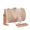 Stylish Women's Fringed Clutch Purse - Elegant Evening Bag for