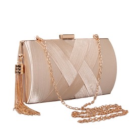 Stylish Women's Fringed Clutch Purse - Elegant Evening Bag for Parties, Weddings, and Events (Champagne)