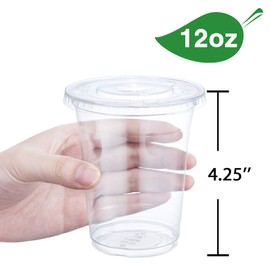 Eupako 12 oz Plastic Cups with Lids 100 Sets Clear Disposable Plastic Party Cups with Flat Lids to Go, Cold Drink Cups, Smoothie Cups, Milkshake Cups