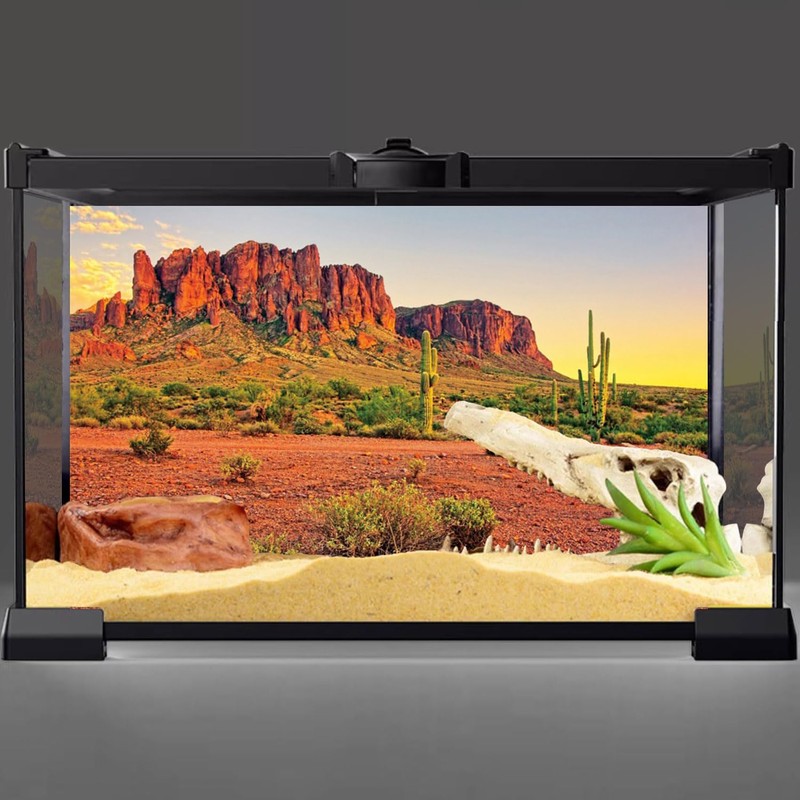 AWERT 48x24 inches Reptile Habitat Background Sky Oasis Mountain Cactus