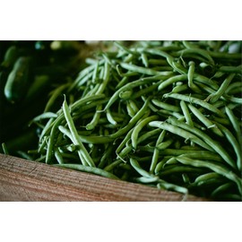 Blue Lake Bush Bean Seeds
