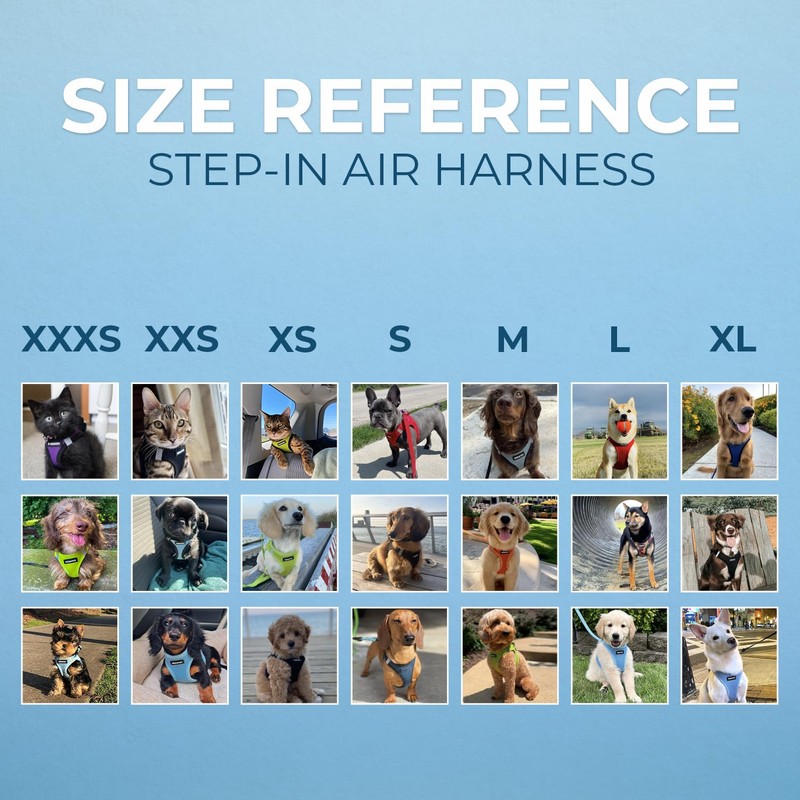 Voyager Step-in Air Dog Harness - All Weather Mesh, Reflective,