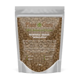 Moringa Seeds Wingless 16 oz. / 1 lb. - PKM1 Variety - Edible Snacking - Planting - Moringa Oleifera - Malunggay - Semillas De Moringa - Drumstick Tree - Non-GMO - 1600 to 2000 Seeds