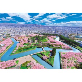 [Made in Japan] Beverly 300 Piece Jigsaw Puzzle Cherry Blossom Colorful Goryokaku (10.2 x 15.0 inches (26 x 38 cm) 300-126
