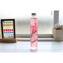 Herbarium Spring - Valhalla Gift Four Seasons Series Herbarium