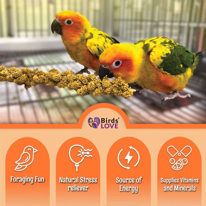Birds LOVE Wholesome & Lovely Spray Millet Non-GMO for Birds