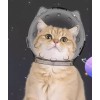 고양이 모자 보호 투명 통기성 반려묘 목욕 반려동물 Cat Hat