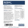 DR.VEGAN Gut Works® | 50bn Live Cultures | Pre &