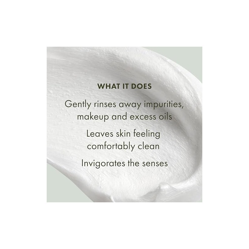 Origins Checks and Balances Frothy Face Wash, 5 Ounce