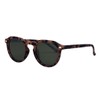I-SEA Unisex Blair Conklin Polarized Sunglasses - Mens & Womens