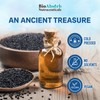 Bio Absorb Black Seed Oil Capsules, 82-Day Supply, Cold Pressed