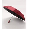 Folding Umbrella, Automatic Opening/Closing, Folding, For Rain or Shine, Lightweight,