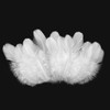 500pcs-White Rooster Feathers 3-5inch Bulk Feathers for Crafts DIY Dream