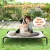 Simple Trending Dog Bed Raised for Extra Large Dog, Waterproof