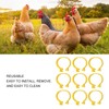 100PCS Chicken Ankle Rings Reusable Plastic Duck Leg Bands Clips