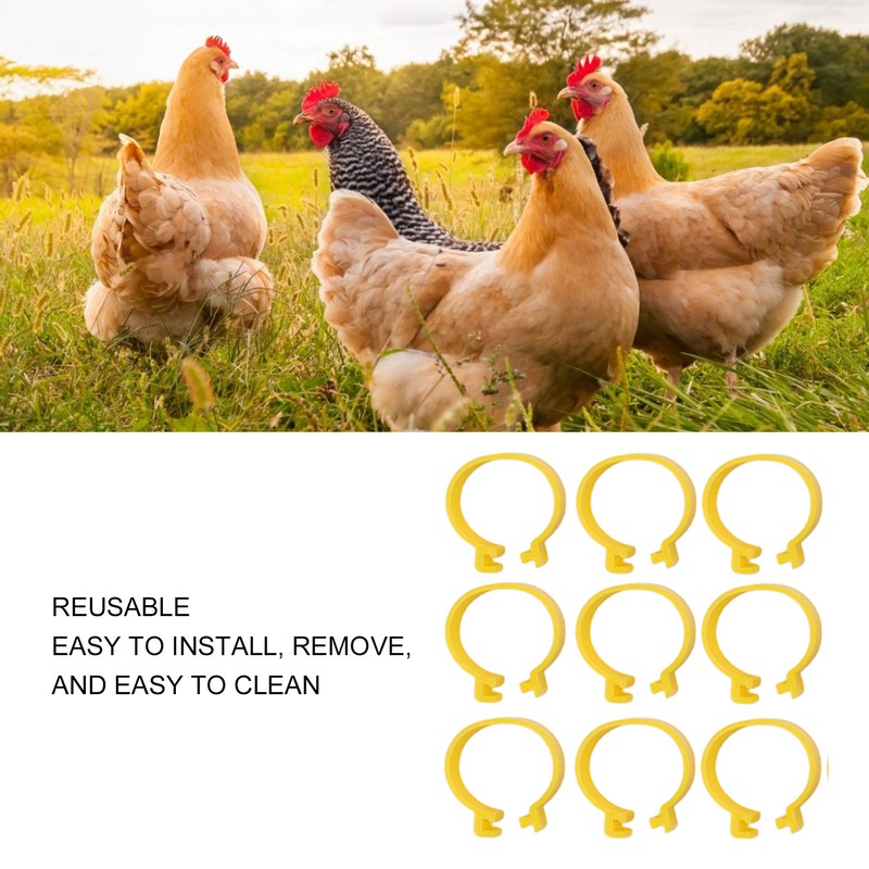 100PCS Chicken Ankle Rings Reusable Plastic Duck Leg Bands Clips