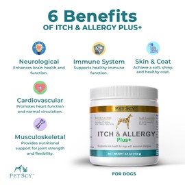 PetScy Itch & Allergy Plus Chews for Dogs Itchy Skin, Ears & Paws | Probiotics, Moringa & Turmeric | for Skin Redness, Hair Loss Gut & Digestive Health - Bacon Flavor - 60 Chews (Pack of 3)