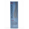 Blondor Paintin Powder 150 ml