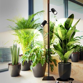 TGIFHS 60W Full Spectrum Dual Head Plant Grow Light, LED Floor Standing Lamp with 6/8/12H Timer, Adjustable Height 37"-77", Energy Efficient Indoor Grow Light for Hydroponics, Succulents, Flowers