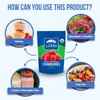 Thousand Lakes Freeze Dried Fruit - ORGANIC Strawberries 2-pack 1.1