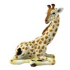 Jungle Animal Giraffe Sitting Small