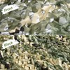 FullLit Camo Netting 5 Color Woodland with rope-10ft*20ft