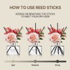COCODOR Rose Flower Reed Diffuser/White Jasmine/6.7oz/1Pack / Home Fragrance Scent