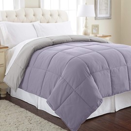 Modern Threads Down Alternative Microfiber Quilted Reversible Comforter/Duvet Insert Ultra Soft Bedding-Medium Warmth for All Seasons, Twin, Amethyst/Silver